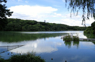 山田池の写真