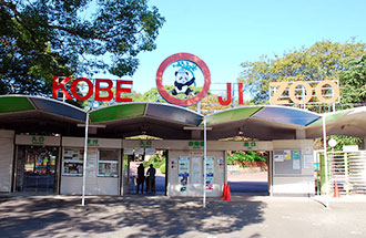 王子動物園の写真
