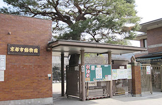 京都市動物園の写真